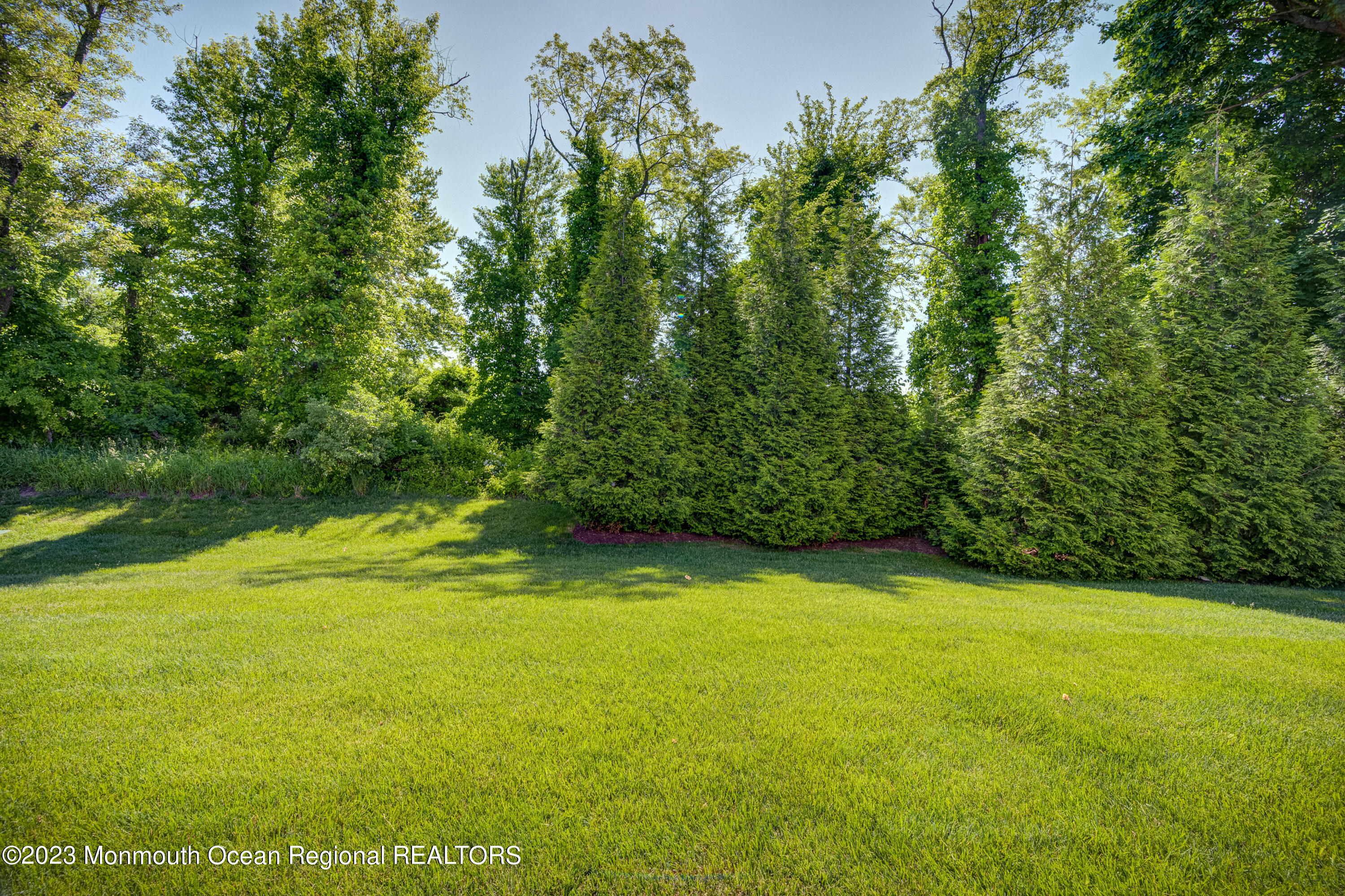 15 Comtois Road Manalapan, NJ 07726 - Photo 31 of 42 Tree line