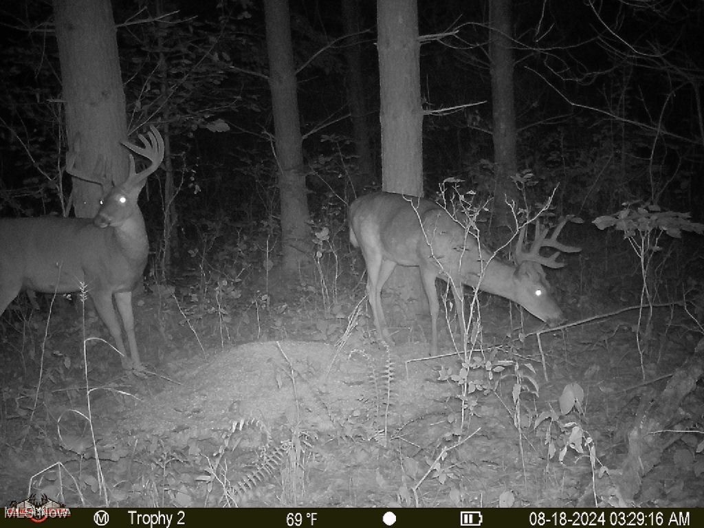 East Athens Road Roseville, OH 43777 - Photo 46 of 50 Gallery Image 46