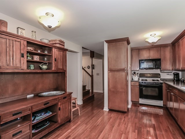 895 Ruth Drive Elgin, IL 60123 - Photo 7 of 20