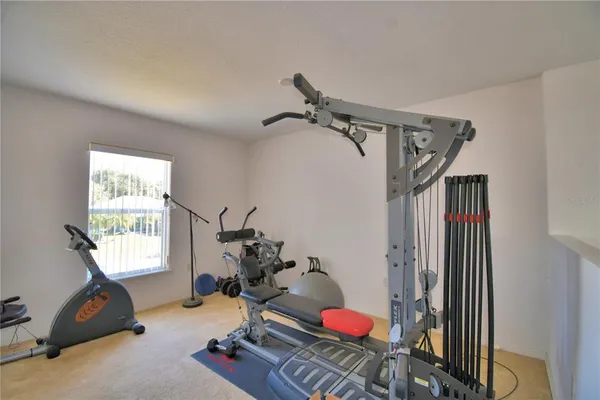 a living room with furniture a rug and gym equipment