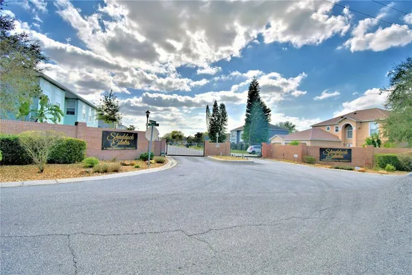 a street view with large trees