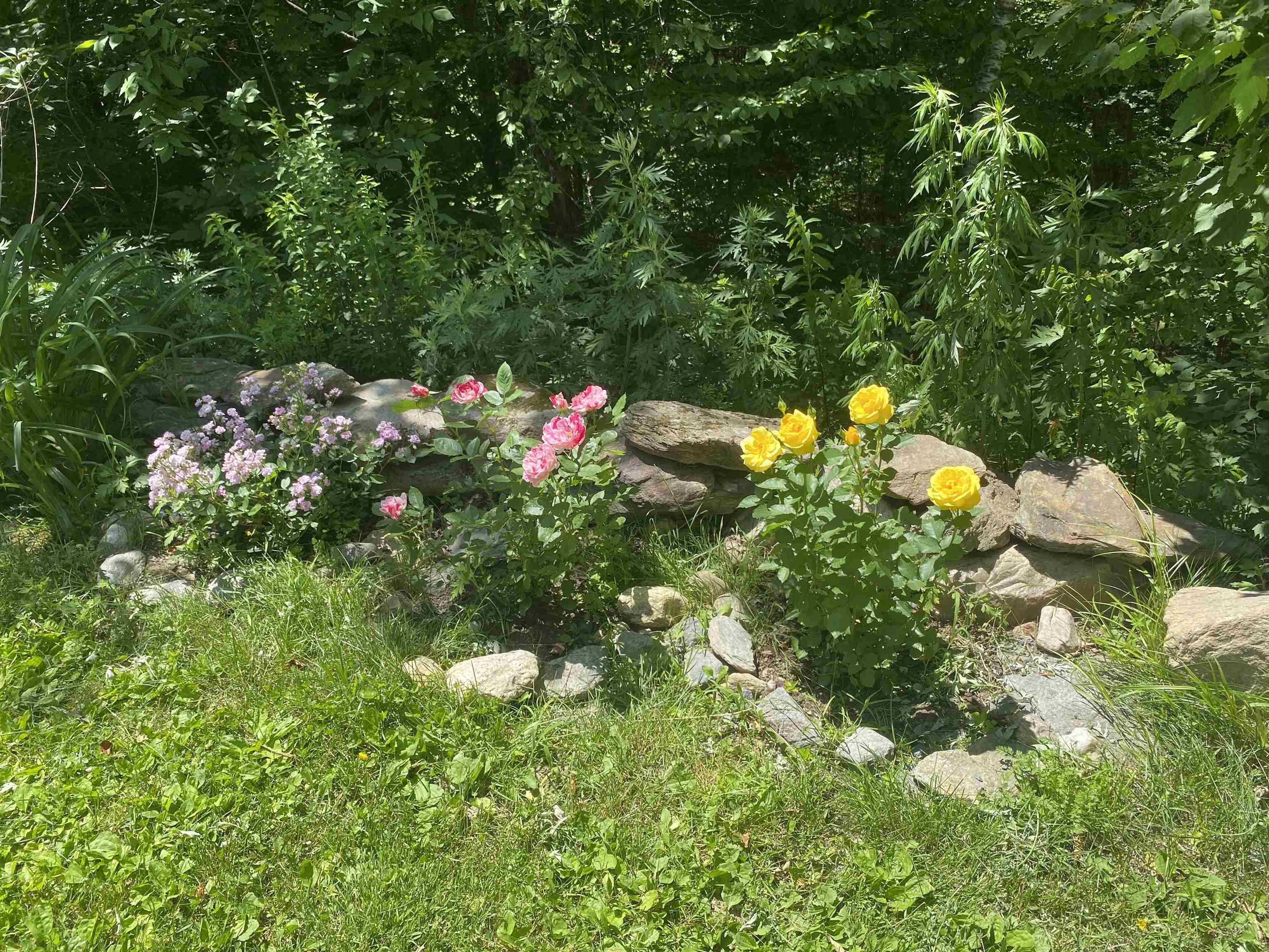 256 Potter Road Wardsboro, VT 05355 - Photo 10 of 39