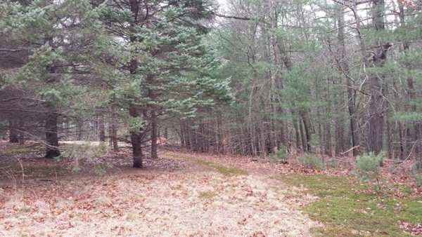 29 Pineswamp Road Ipswich, MA 01938 - Photo 5 of 7 Gallery Image 5
