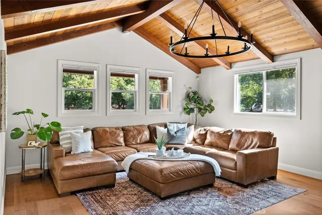 a living room with furniture and a potted plant