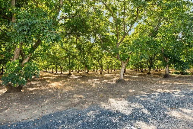$1,175,000 | 9243 Turner Lane, Durham, CA 95938