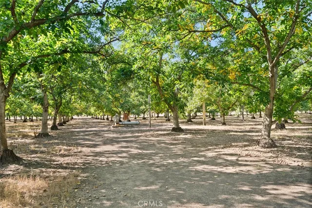 $1,175,000 | 9243 Turner Lane, Durham, CA 95938