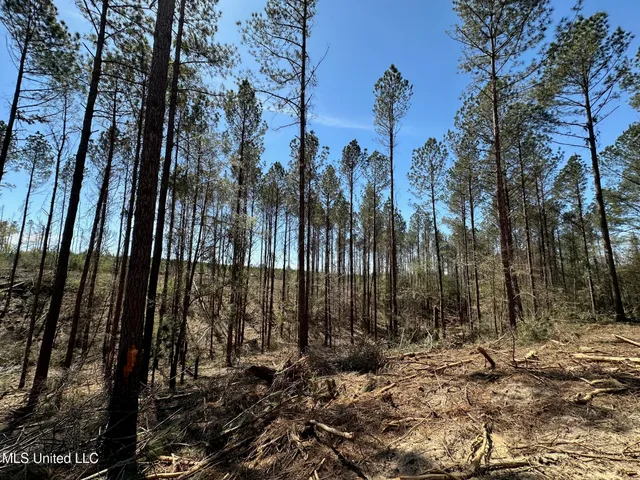 $89,000 | 2 Highway 478 New Hebron Ms 39140, Newhebron, MS 39140