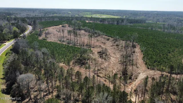 $89,000 | 2 Highway 478 New Hebron Ms 39140, Newhebron, MS 39140