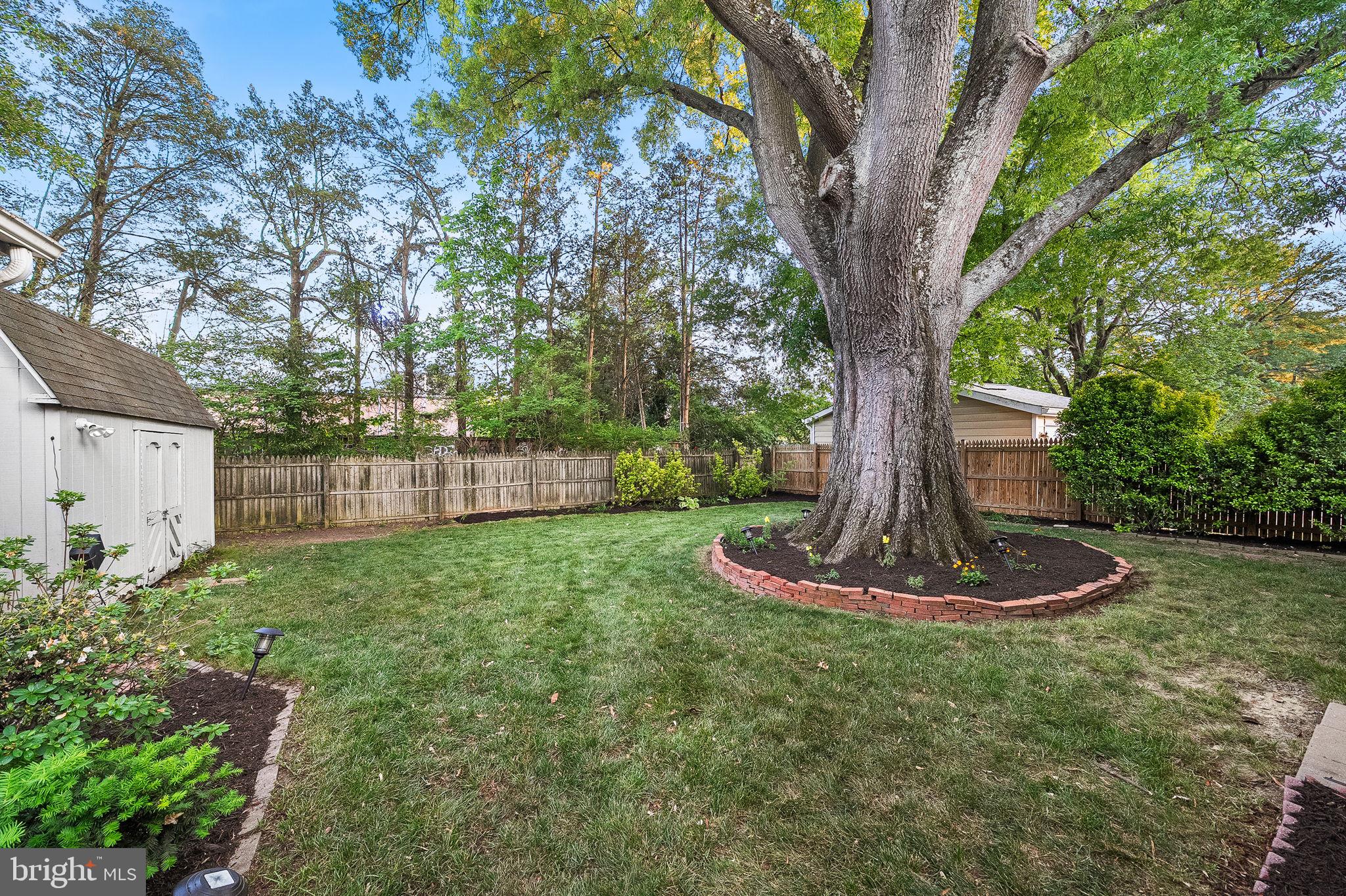 1505 Baltimore Road Alexandria, VA 22308 - Photo 43 of 50 Gallery Image 43