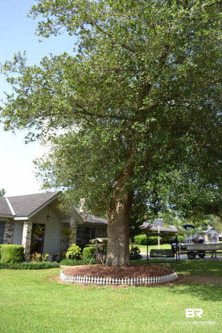 8900 Lea Court Mobile, AL 36695 - Photo 11 of 22