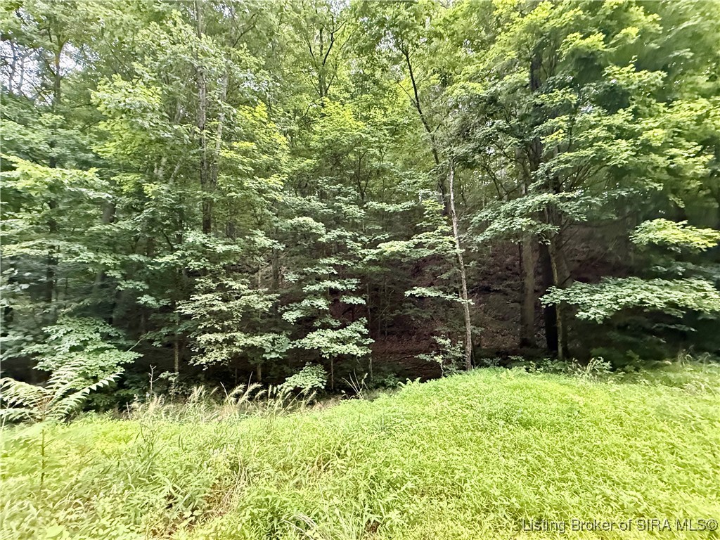 2032 West Goat Hollow Road Vallonia, IN 47281 - Photo 3 of 39