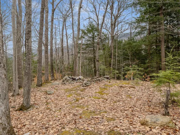 $775,000 | 109 Isthmus Drive, Leicester, VT 05733