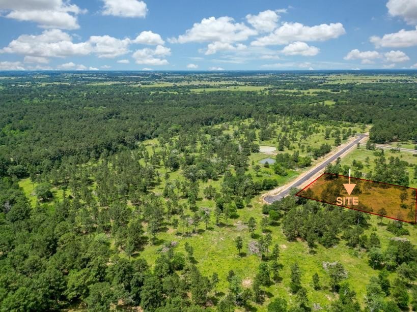 31862 Boone Road Waller, TX 77484 - Photo 1 of 5 a view of a city with lush green forest