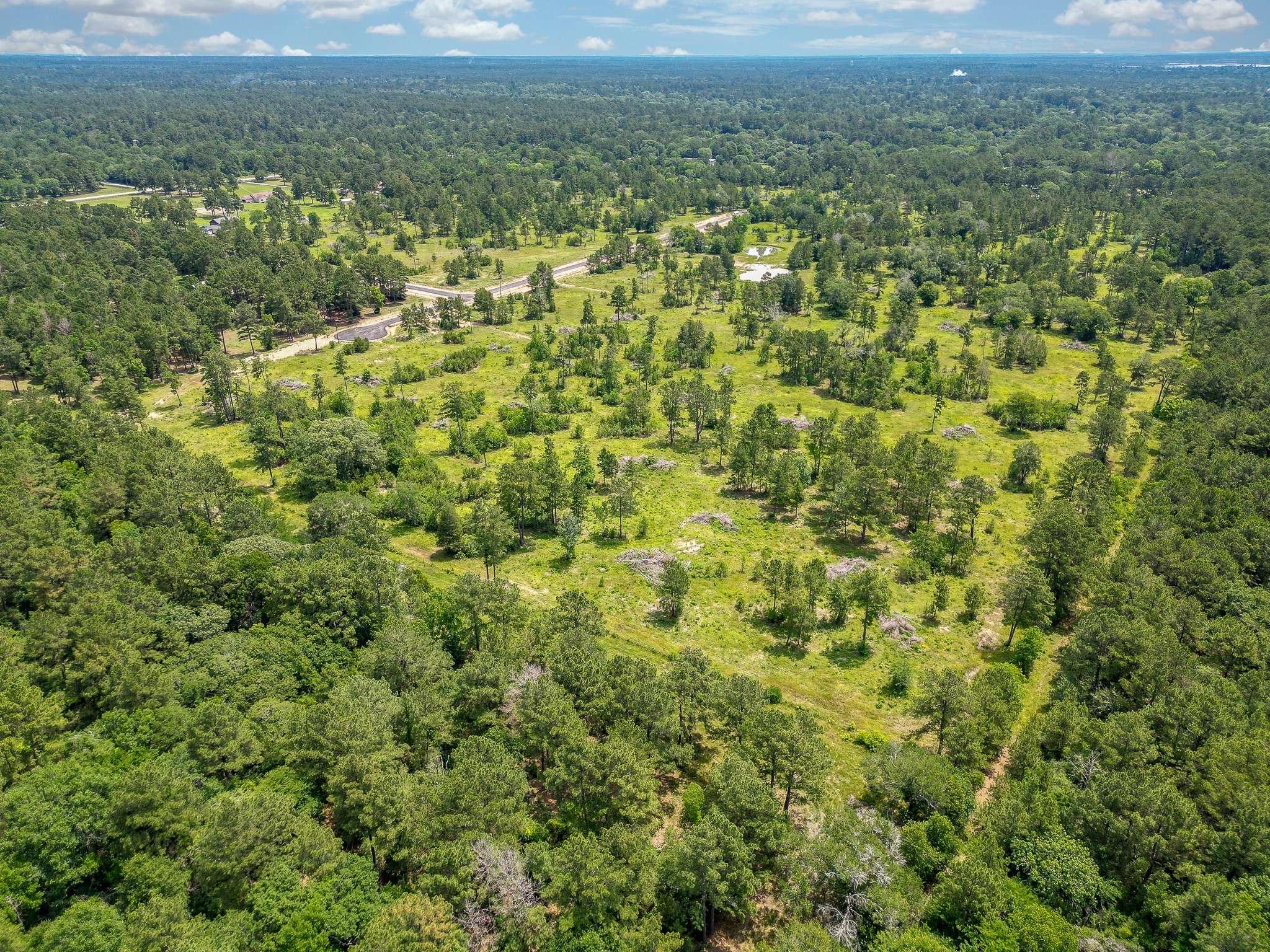 31862 Boone Road Waller, TX 77484 - Photo 4 of 5 a view of a green field with lots of bushes