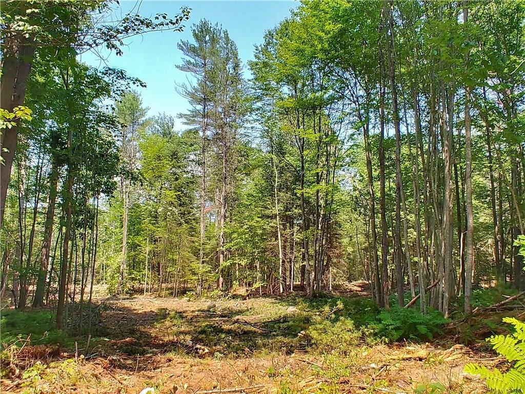 20 Naples Road Harrison, ME 04040 - Photo 2 of 7 Photo
