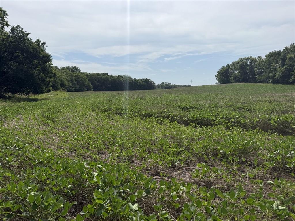 56 County Line Road Edgerton, KS 66021 - Photo 2 of 4 Gallery Image 2