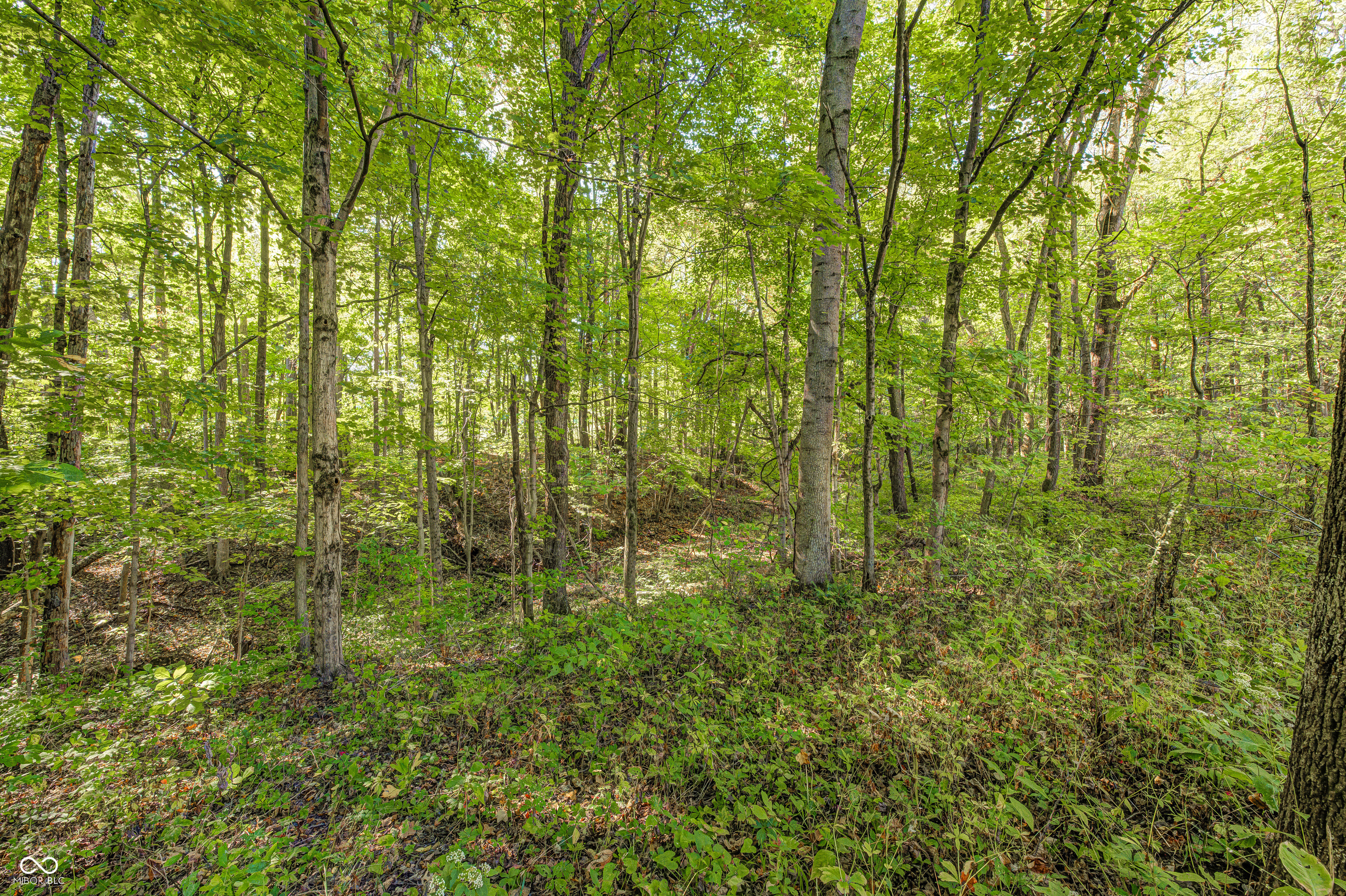 6047 North Brummett Road Quincy, IN 47456 - Photo 40 of 49 Gallery Image 40