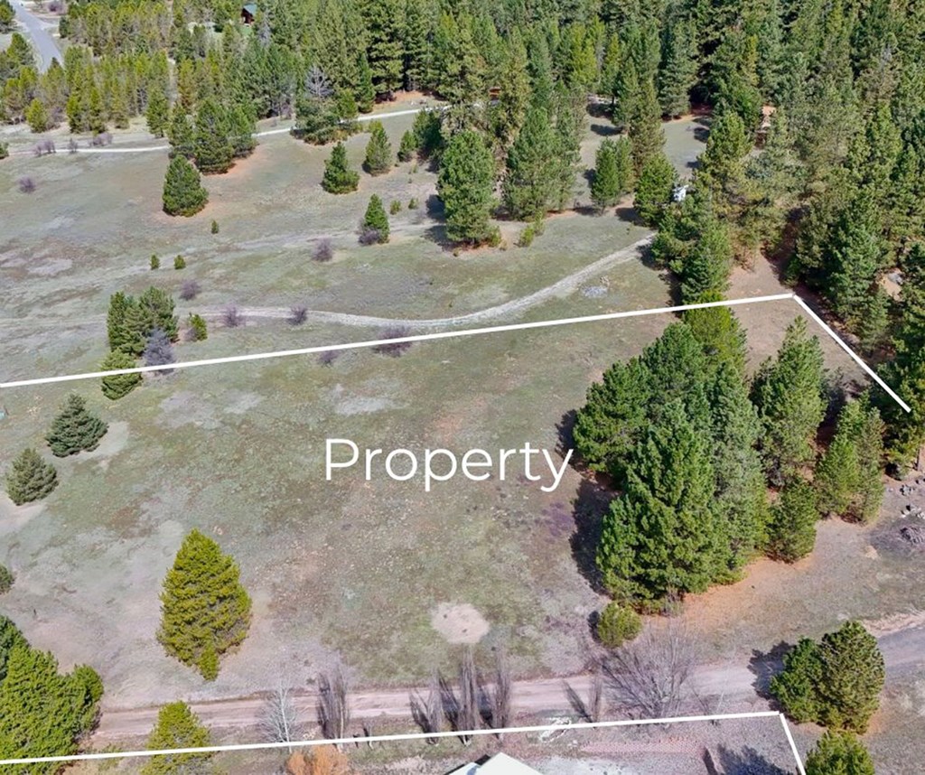 Pt Lot 7 Packer John Road, Unit 7 Cascade, ID 83611 - Photo 7 of 16 Just the Right Size for Privacy and Seclusion