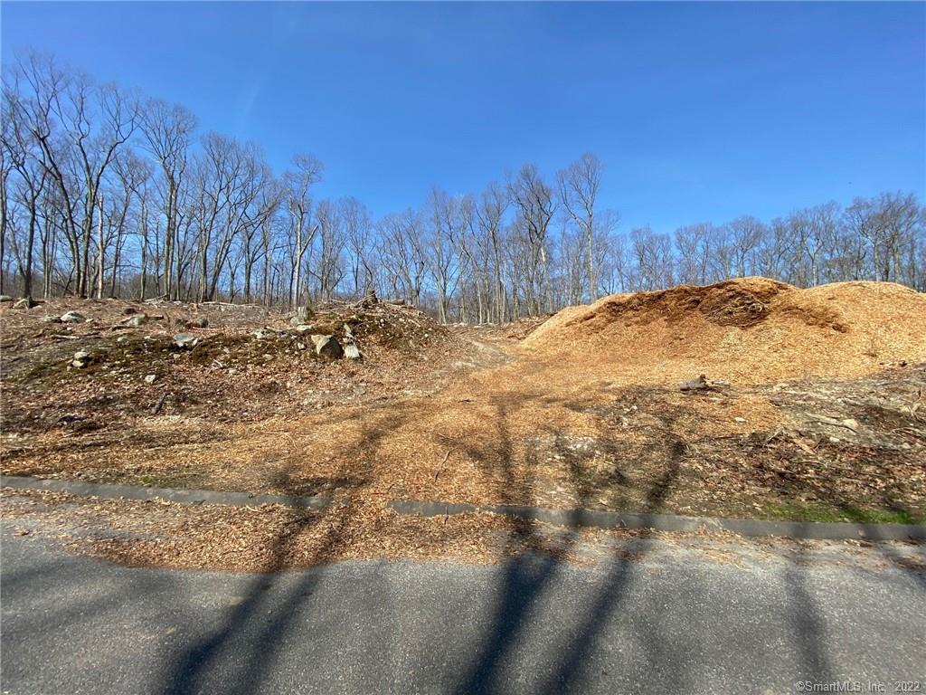 1 Ridge Valley Road Newtown, CT 06470 - Photo 1 of 1 a view of a yard with trees in front of it