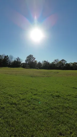 a view of an ocean and a yard