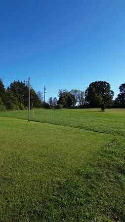 a view of a field with a tree in the background