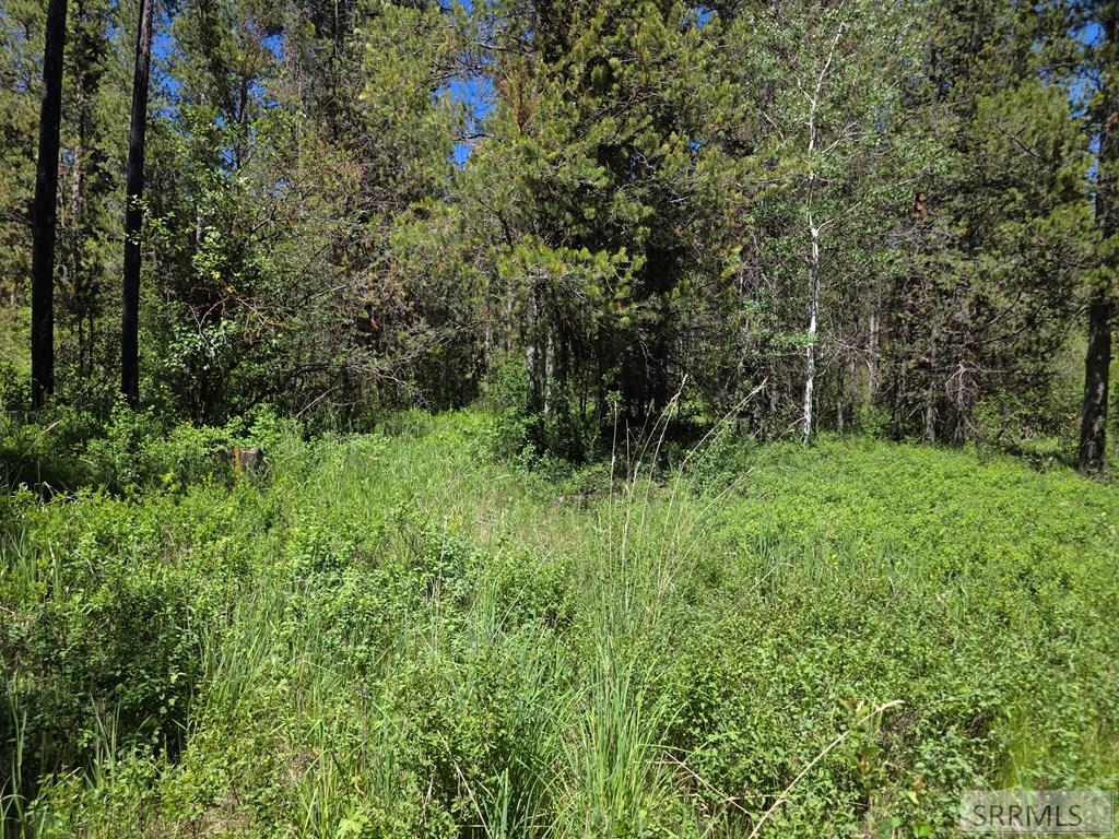 4585 East 1400 Road North Ashton, ID 83420 - Photo 24 of 31