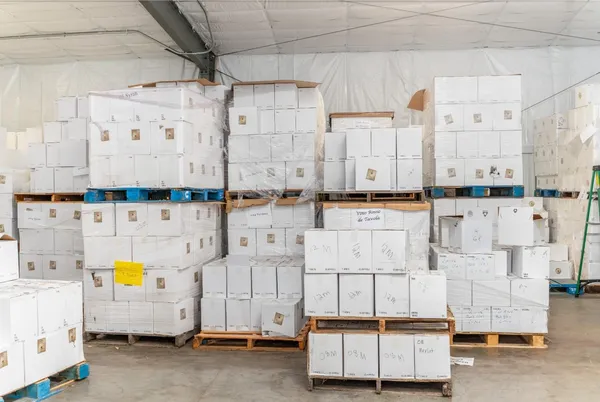 a front view of a house with a yard and potted plants