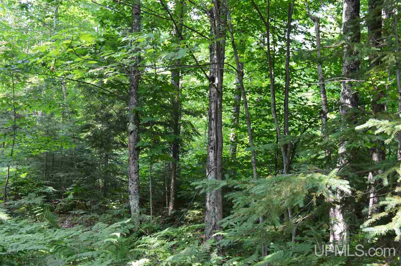 Tbd Herman Road Lanse, MI 49946 - Photo 4 of 50 Gallery Image 4