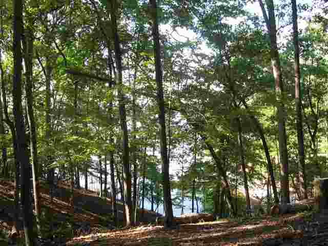Lot 12 Kelley Ridge Road Seneca, SC 29672 - Photo 11 of 22 Gallery Image 11