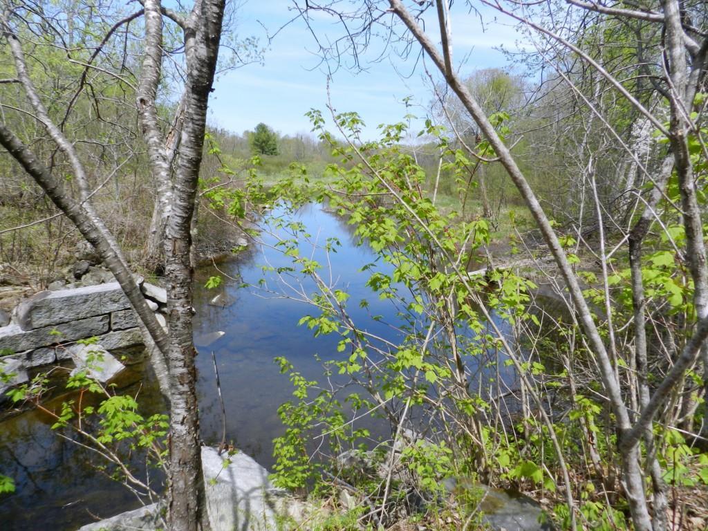 0 Stage Road St. Albans, ME 04971 - Photo 5 of 15 Photo