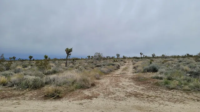 a view of a town with mountains in the background