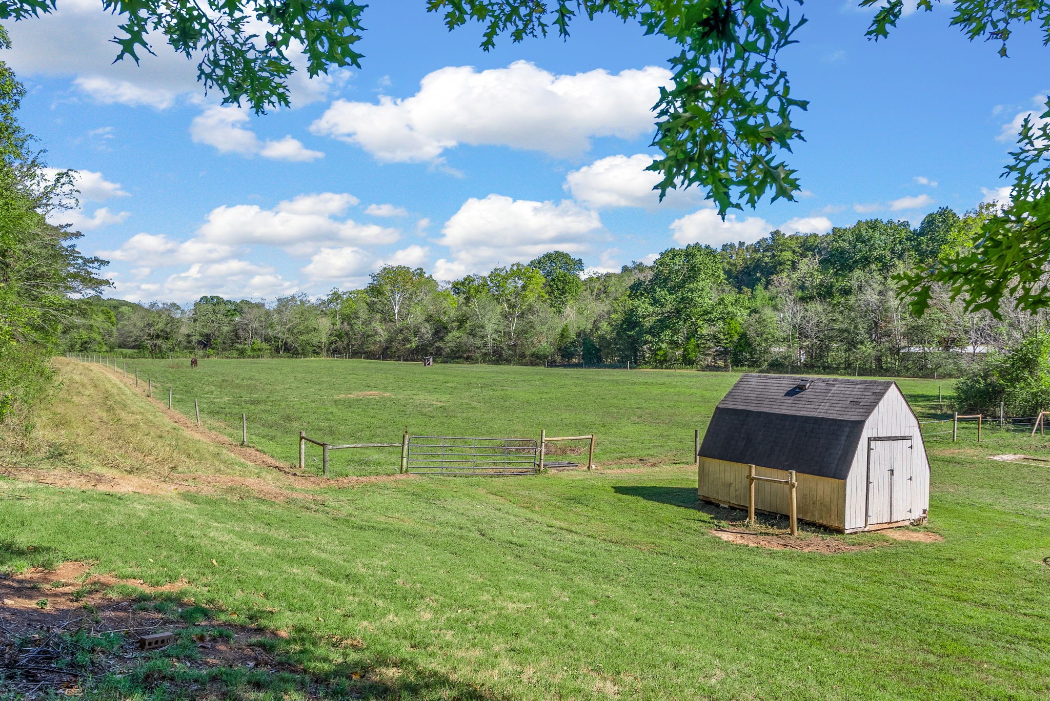 124 Norris Hancock Road Big Rock, TN 37023 - Photo 5 of 49 Gallery Image 5