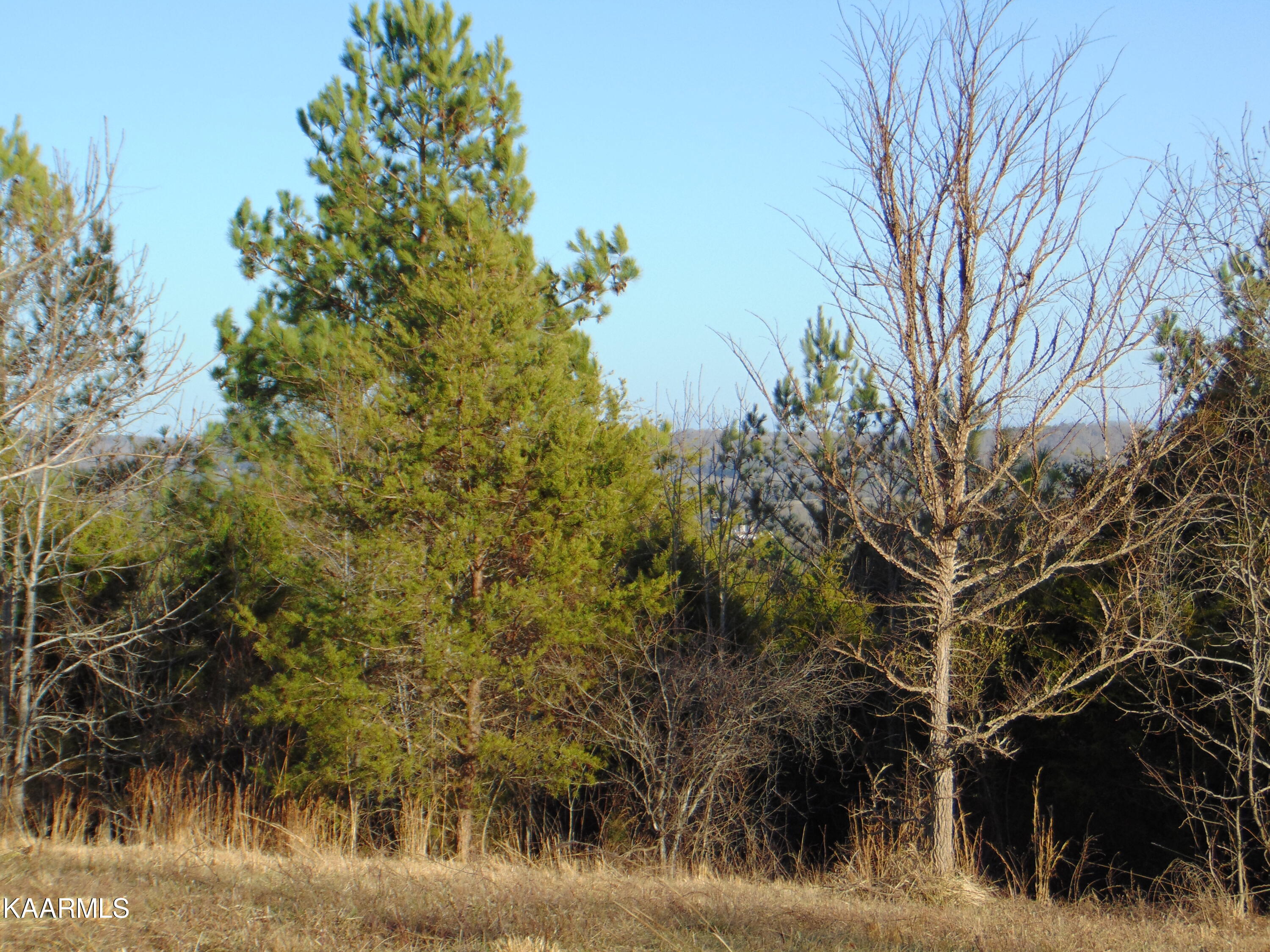 15-b-2 Charles Road Decatur, TN 37322 - Photo 23 of 35 DSC02196