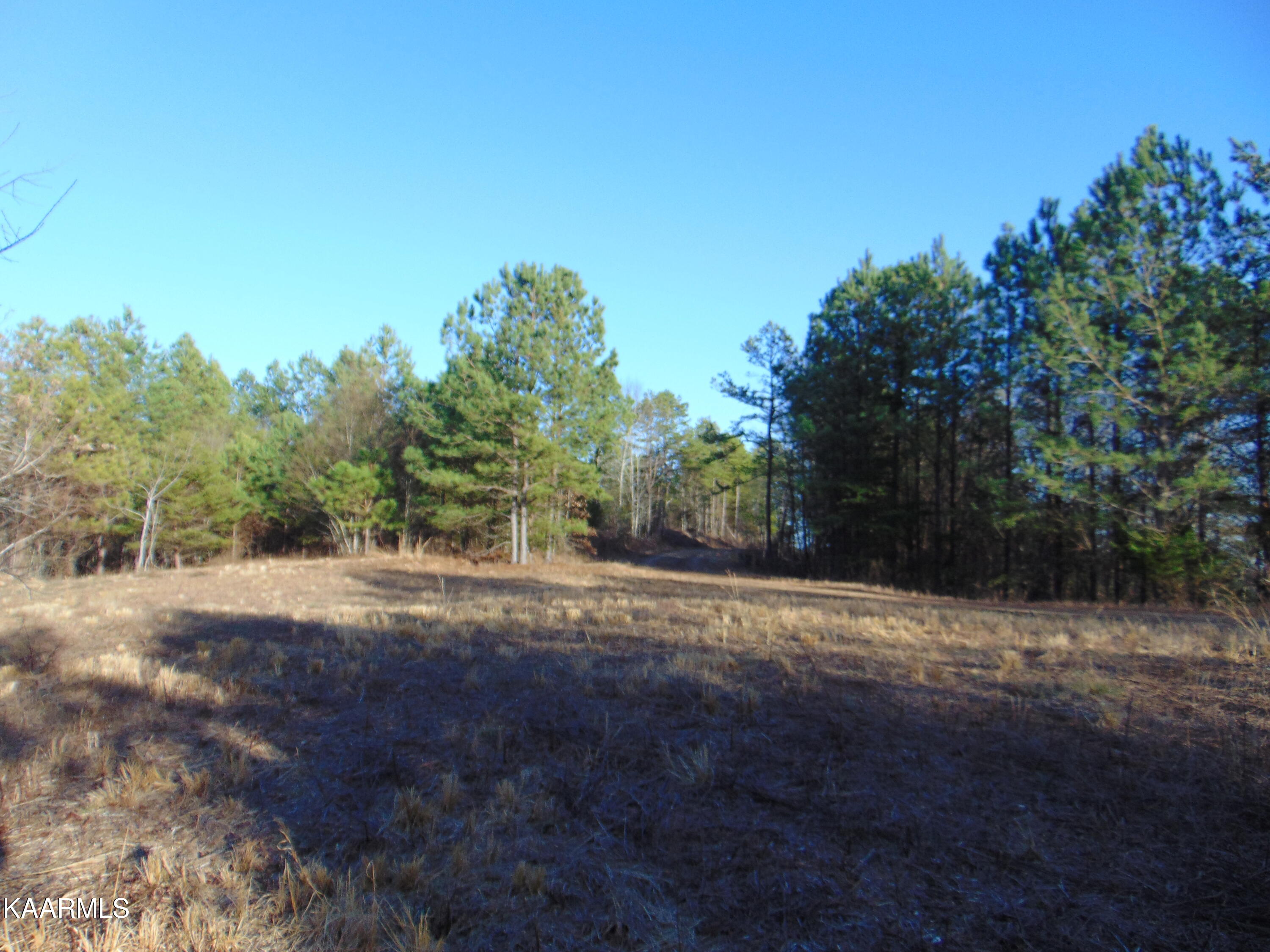 15-b-2 Charles Road Decatur, TN 37322 - Photo 35 of 35 DSC02212