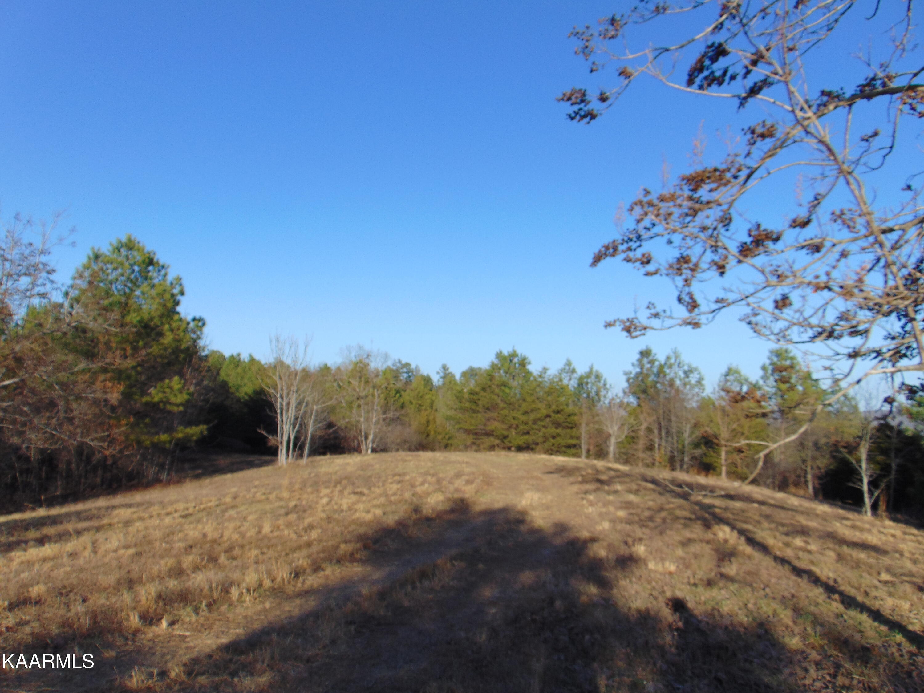 15-b-2 Charles Road Decatur, TN 37322 - Photo 9 of 35 DSC02191