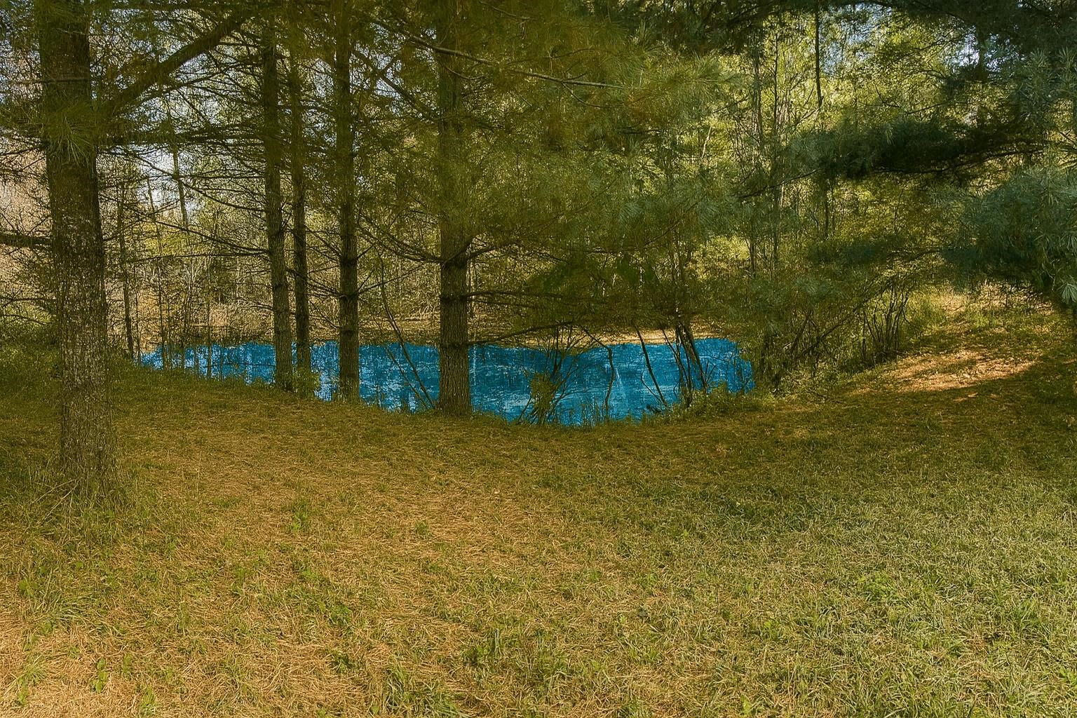 2670 Bass Lake Road Lupton, MI 48635 - Photo 41 of 48
