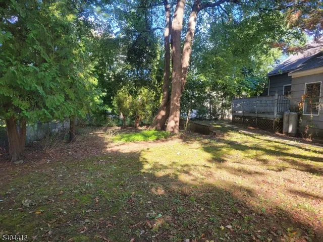 a view of a yard with a tree