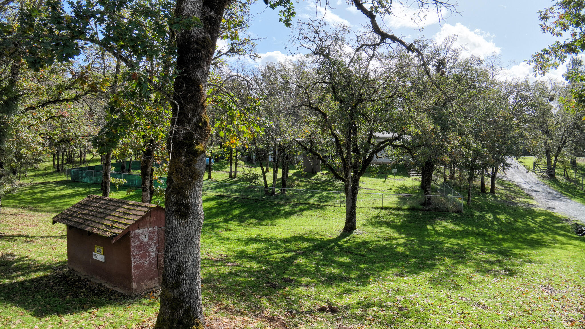 650 Three Pines Road Grants Pass, OR 97526 - Photo 4 of 48 a backyard of a house with lots of green space
