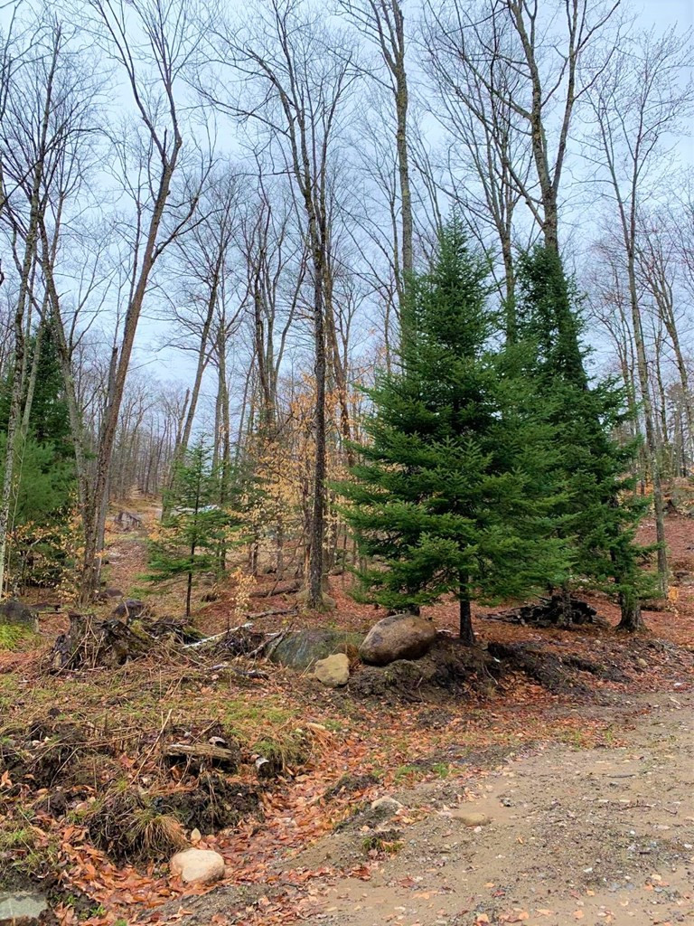 47-46 Hawk Ridge Saranac Lake, NY 12983 - Photo 8 of 8 Gallery Image 8