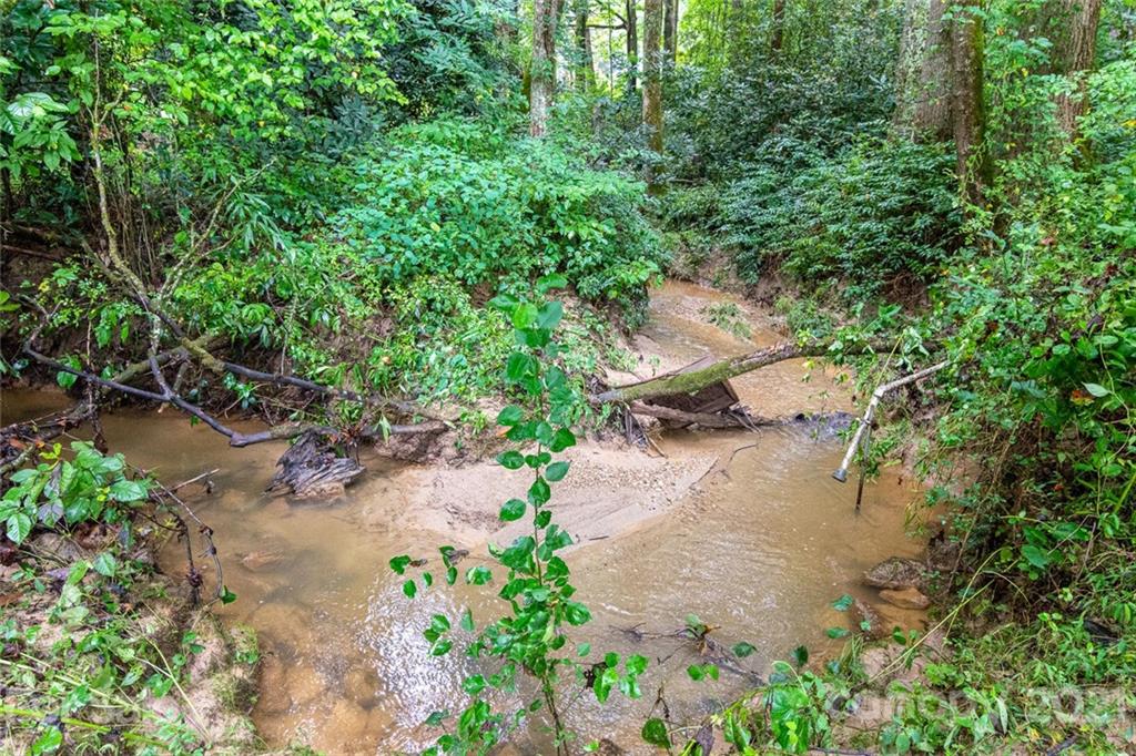46 Warlick Road Mills River, NC 28759 - Photo 46 of 47 Gallery Image 46