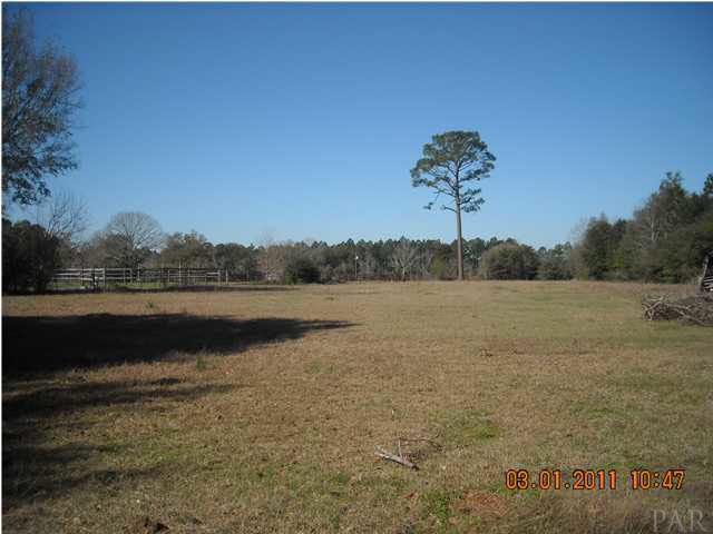 Rear Pasture