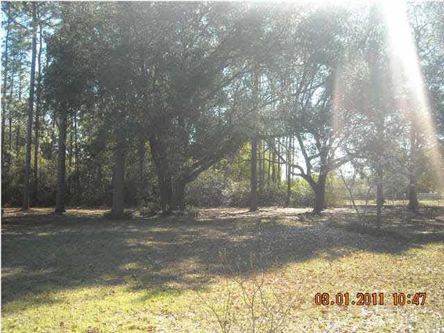 Side Yard