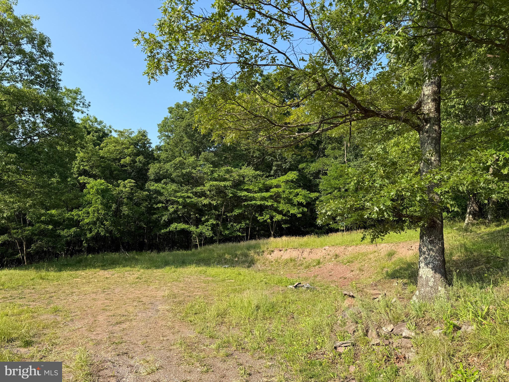 1337 Shanghai Road Berkeley Springs, WV 25411 - Photo 1 of 13 Gallery Image 1