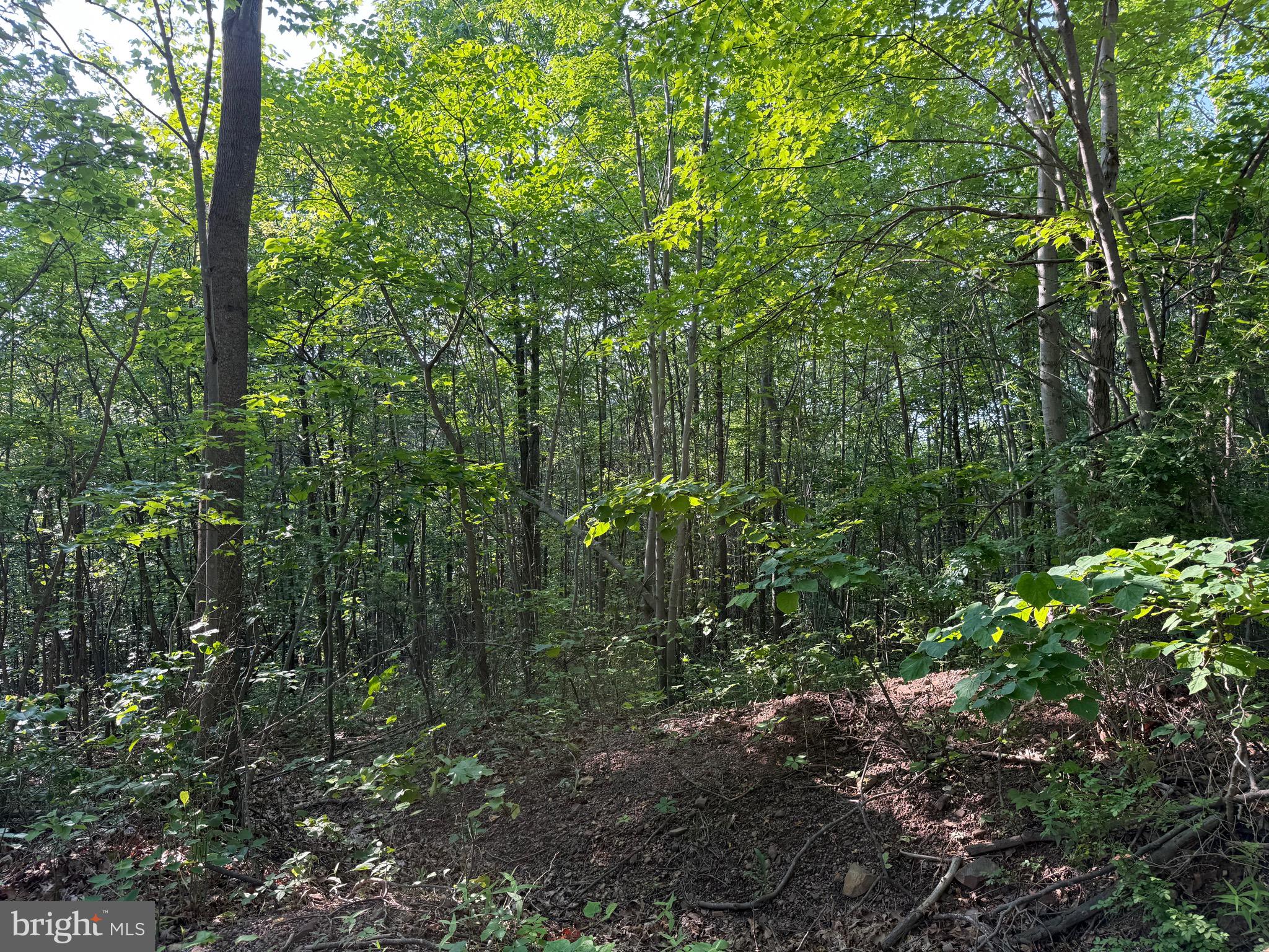 1337 Shanghai Road Berkeley Springs, WV 25411 - Photo 11 of 13 Gallery Image 11