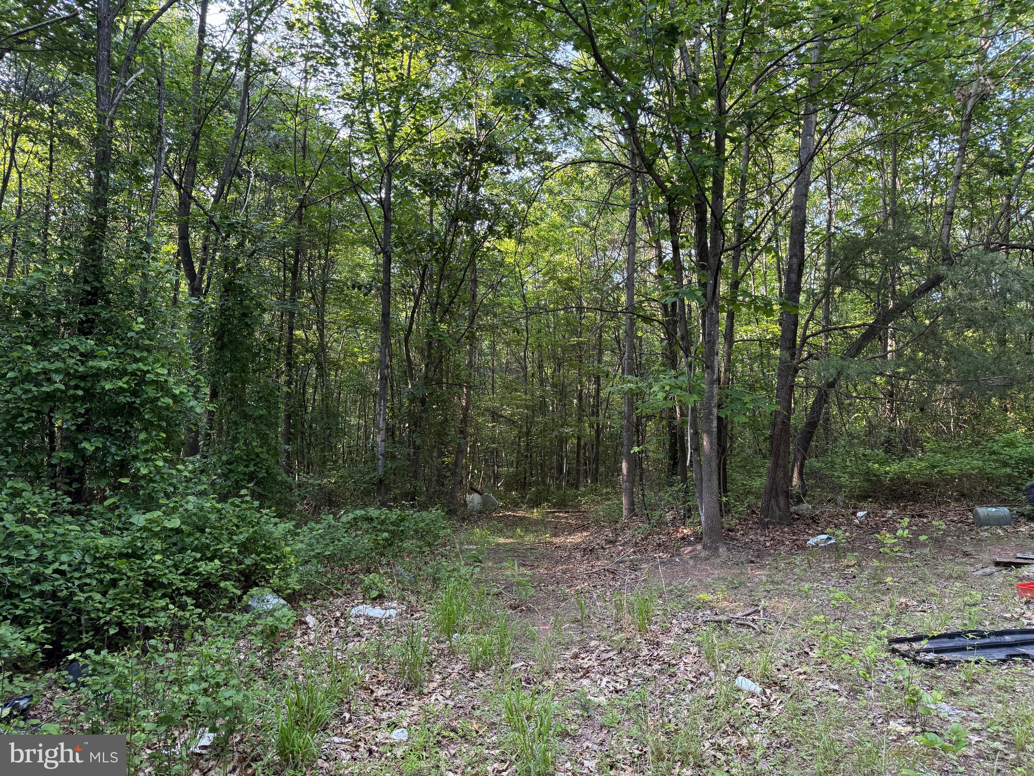 1337 Shanghai Road Berkeley Springs, WV 25411 - Photo 13 of 13 Gallery Image 13