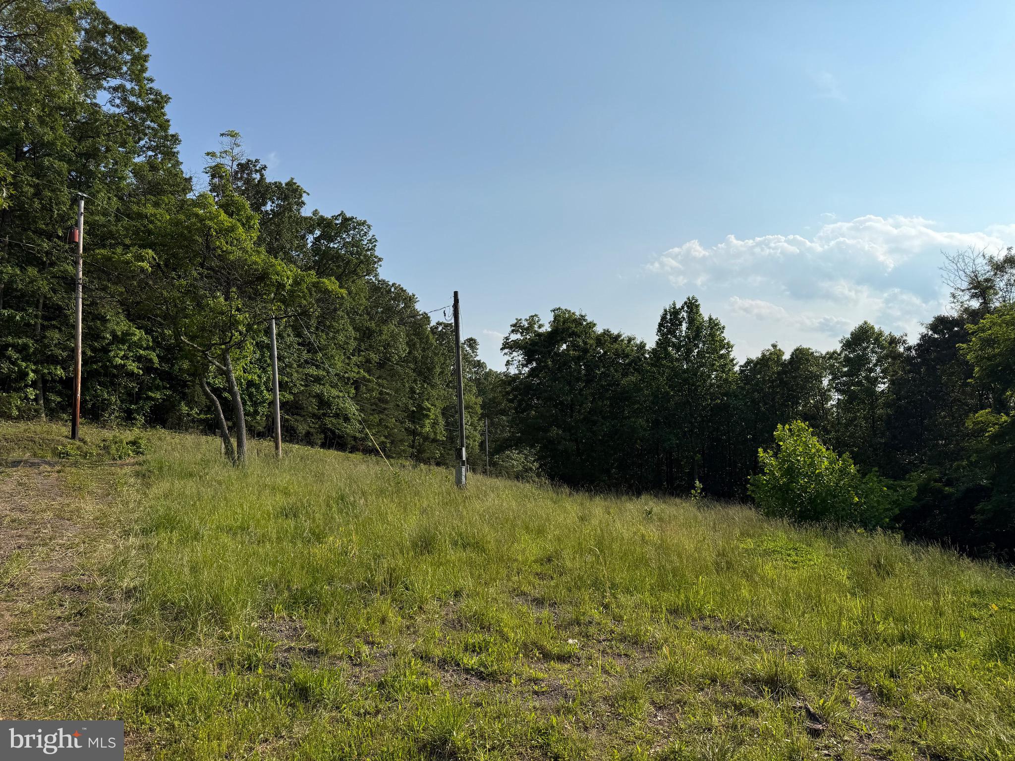 1337 Shanghai Road Berkeley Springs, WV 25411 - Photo 3 of 13 Gallery Image 3
