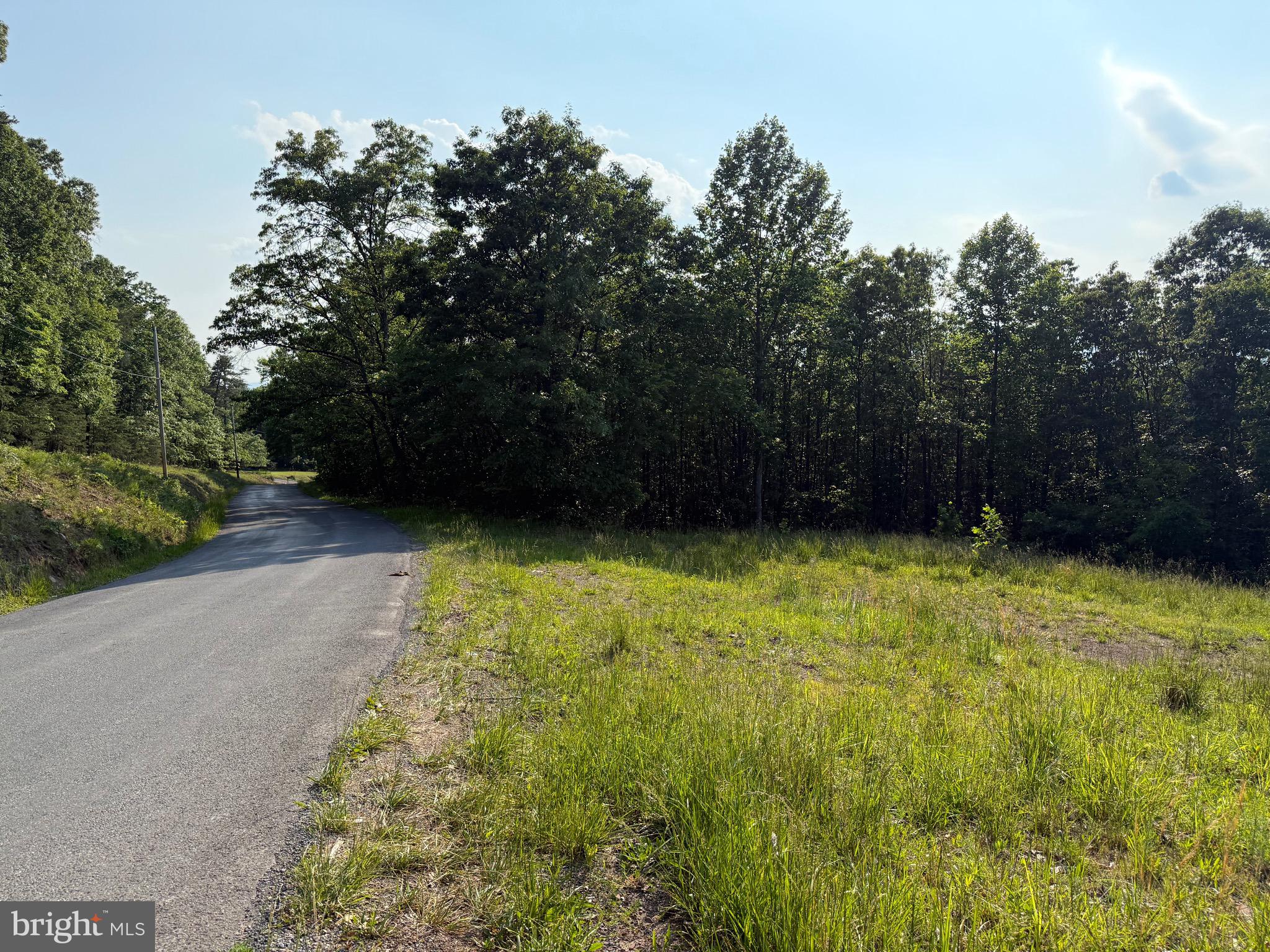 1337 Shanghai Road Berkeley Springs, WV 25411 - Photo 5 of 13 Gallery Image 5