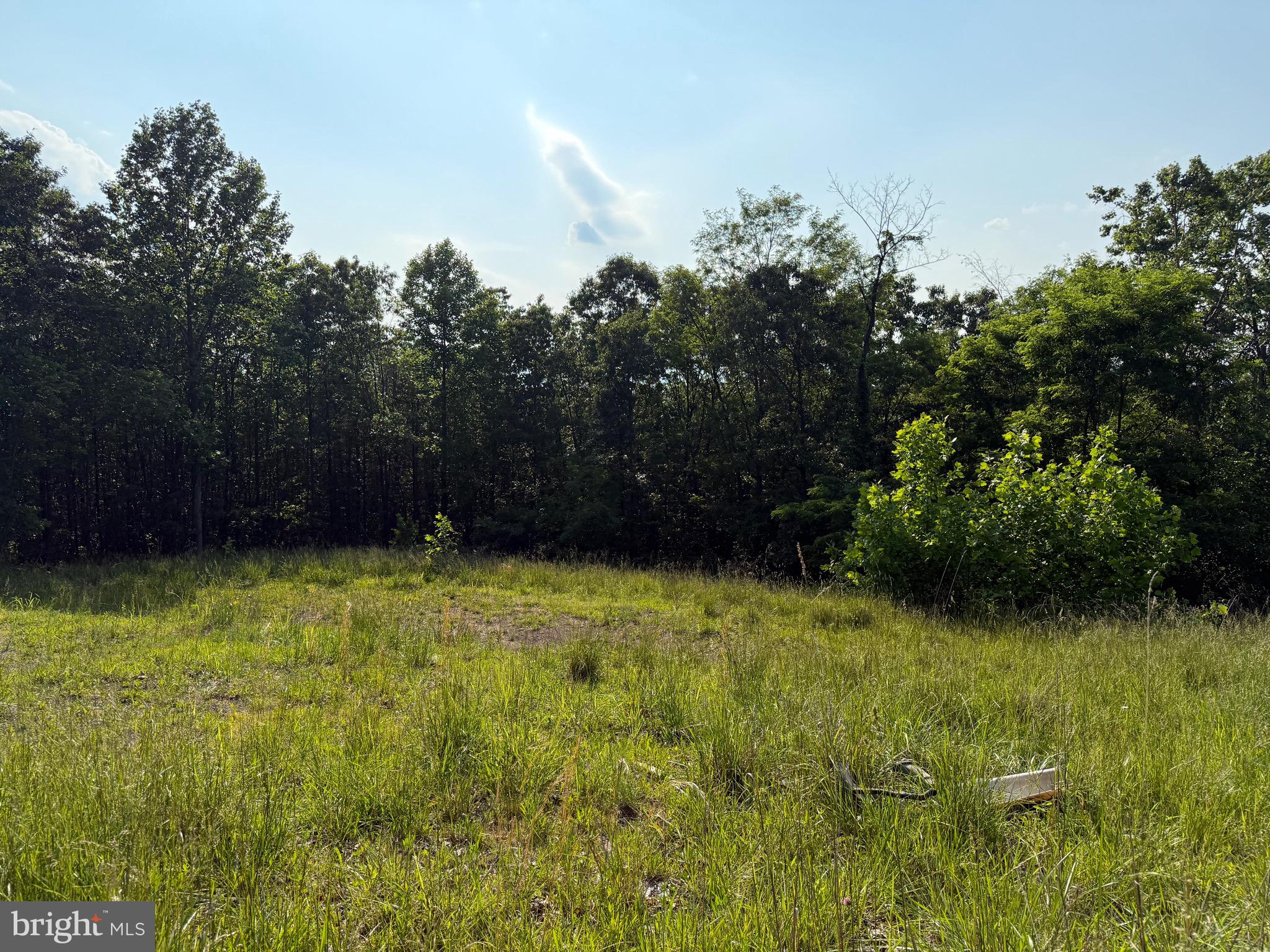 1337 Shanghai Road Berkeley Springs, WV 25411 - Photo 6 of 13 Gallery Image 6