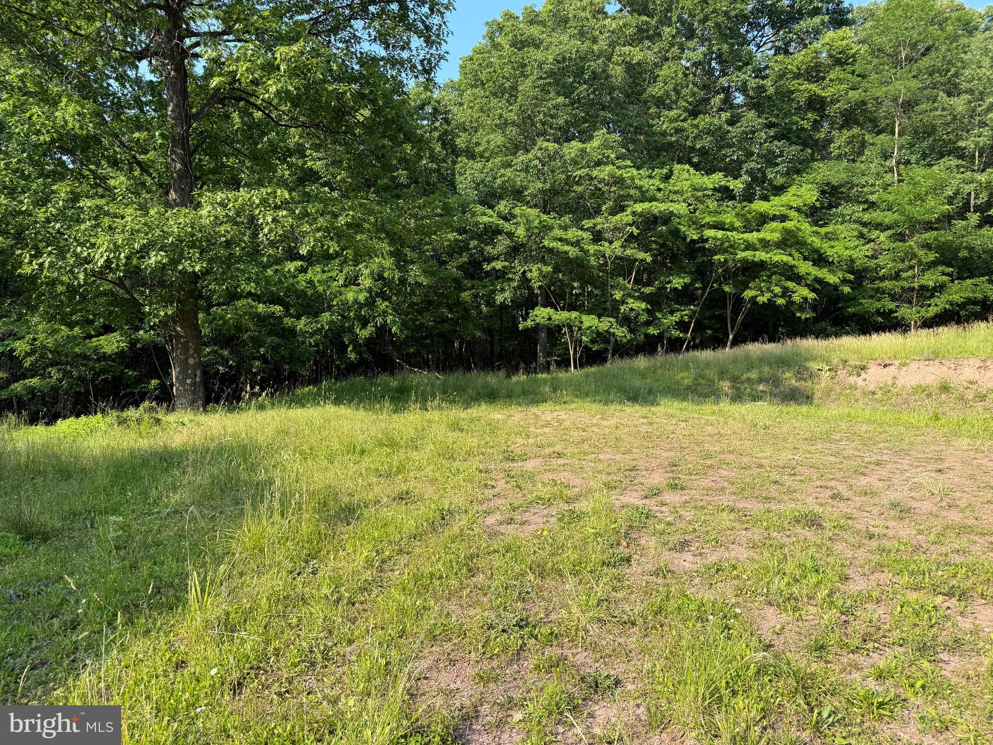 1337 Shanghai Road Berkeley Springs, WV 25411 - Photo 7 of 13 Gallery Image 7