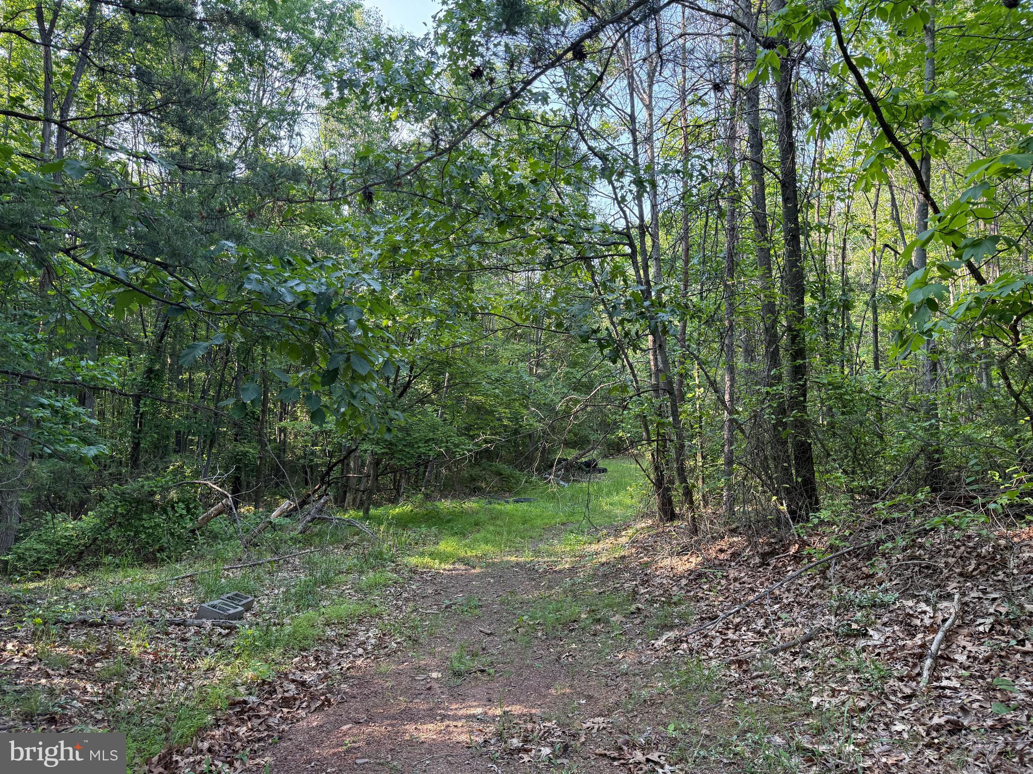1337 Shanghai Road Berkeley Springs, WV 25411 - Photo 10 of 13 Gallery Image 10